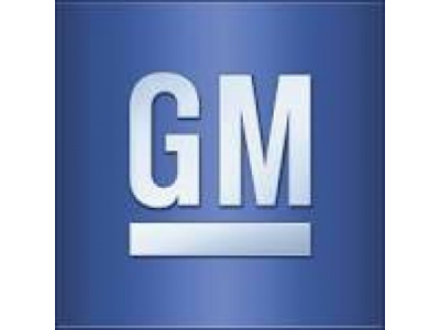 GM Смазка тефлон. LUBRICANT,SYNTHETIC MULTI-PUPOSE W/PTFE
