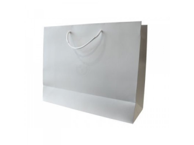 Бумажный подарочный пакет BMW Paper Bag, White, Size M